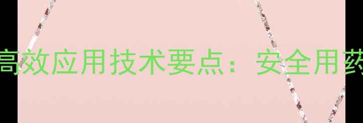 图片 毛芋头苗后除草剂高效应用技术要点：安全用药与杂草防除全攻略