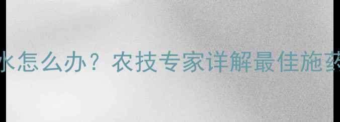 图片 水稻打农药遇露水怎么办？农技专家详解最佳施药时机与注意事项