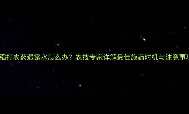 图片 水稻打农药遇露水怎么办？农技专家详解最佳施药时机与注意事项1