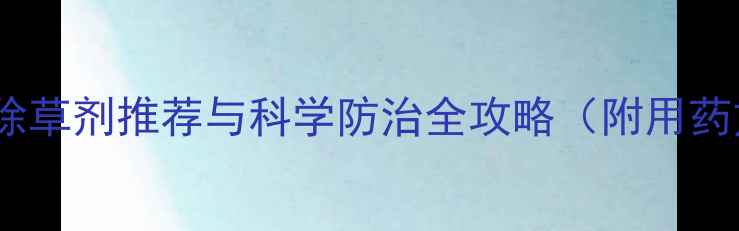 图片 水虱草高效除草剂推荐与科学防治全攻略（附用药方案图解）1