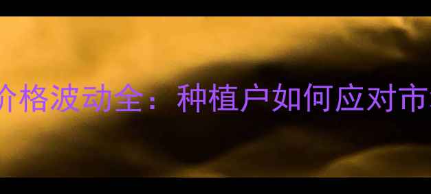 图片 江苏玉米价格波动全：种植户如何应对市场新变化1