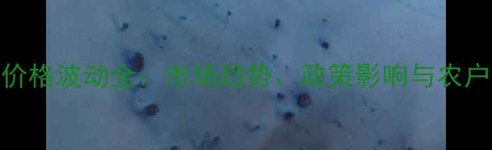 图片 江苏面粉价格波动全：市场趋势、政策影响与农户应对策略