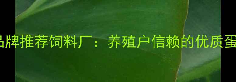 图片 沈阳知名饲料品牌推荐饲料厂：养殖户信赖的优质蛋白饲料供应商1