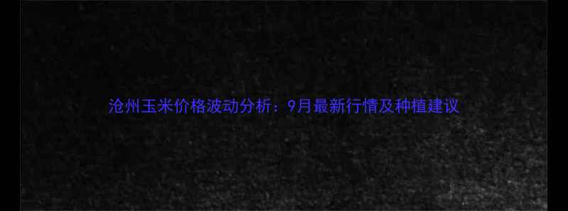 图片 沧州玉米价格波动分析：9月最新行情及种植建议