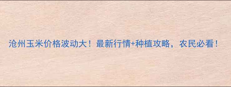 图片 沧州玉米价格波动大！最新行情+种植攻略，农民必看！