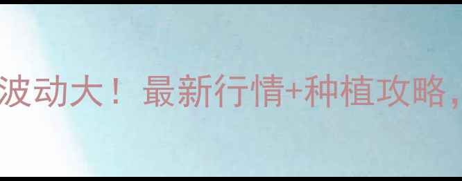 图片 沧州玉米价格波动大！最新行情+种植攻略，农民必看！1