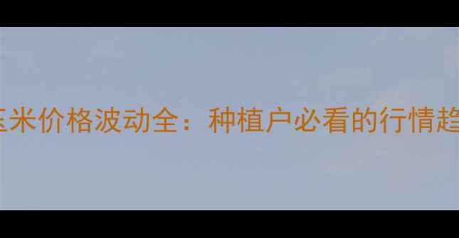 图片 河北保定涞水玉米价格波动全：种植户必看的行情趋势与应对策略1