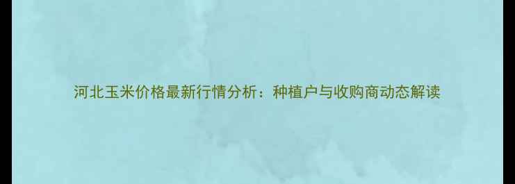 图片 河北玉米价格最新行情分析：种植户与收购商动态解读