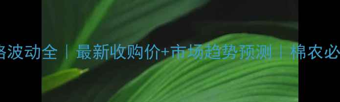 图片 河北籽棉价格波动全｜最新收购价+市场趋势预测｜棉农必看种植指南1