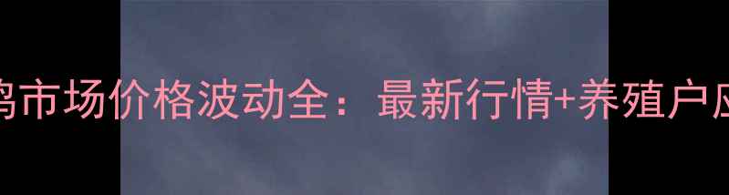 图片 河南肉鸡市场价格波动全：最新行情+养殖户应对策略