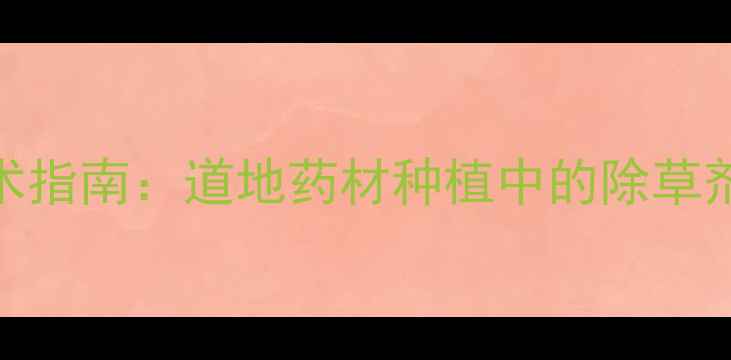 图片 河南黄芪高效除草技术指南：道地药材种植中的除草剂科学应用与安全规范