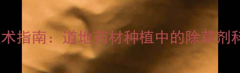 图片 河南黄芪高效除草技术指南：道地药材种植中的除草剂科学应用与安全规范1