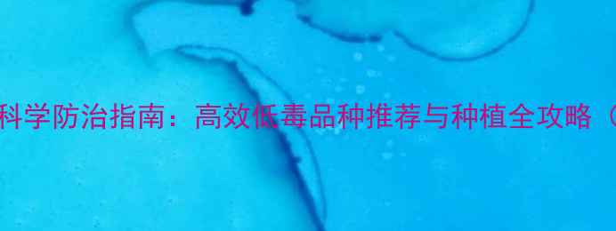 图片 油菜杀虫农药科学防治指南：高效低毒品种推荐与种植全攻略（附用药方案）