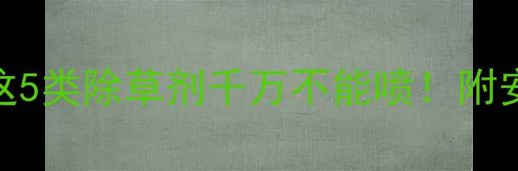 图片 洋葱种植避坑指南：这5类除草剂千万不能喷！附安全用药方案（附图）