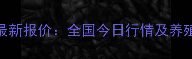 图片 活肉牛价格最新报价：全国今日行情及养殖户应对指南