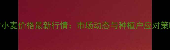 图片 济宁小麦价格最新行情：市场动态与种植户应对策略全