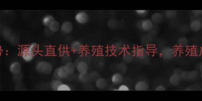图片 浙江鲫鱼饲料批发价格优势：源头直供+养殖技术指导，养殖户如何选对饲料降本增效？