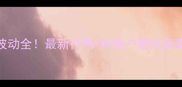 图片 海南省玉米价格波动全！最新行情+种植户避坑指南（附实时数据）