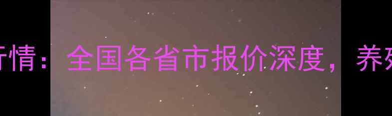 图片 淘汰鸡价格今日行情：全国各省市报价深度，养殖户必看养殖指南