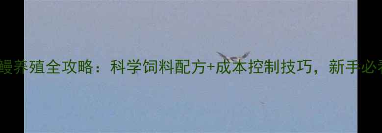 图片 清水鳗养殖全攻略：科学饲料配方+成本控制技巧，新手必看！1