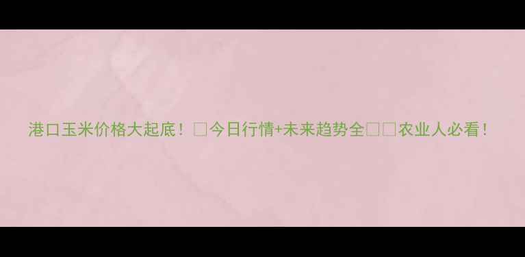 图片 港口玉米价格大起底！🌾今日行情+未来趋势全💰📈农业人必看！