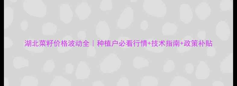 图片 湖北菜籽价格波动全｜种植户必看行情+技术指南+政策补贴
