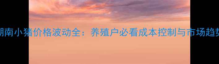 图片 湖南小猪价格波动全：养殖户必看成本控制与市场趋势