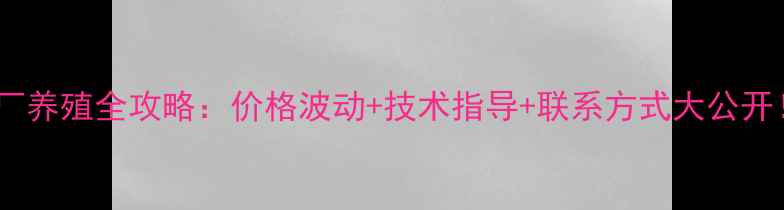 图片 湛江正大饲料厂养殖全攻略：价格波动+技术指导+联系方式大公开！养殖户必看1
