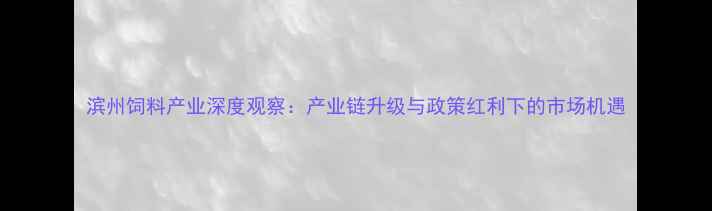 图片 滨州饲料产业深度观察：产业链升级与政策红利下的市场机遇
