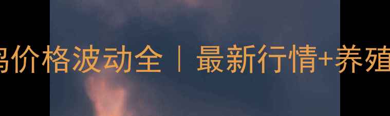 图片 潍坊白羽鸡价格波动全｜最新行情+养殖避坑指南1
