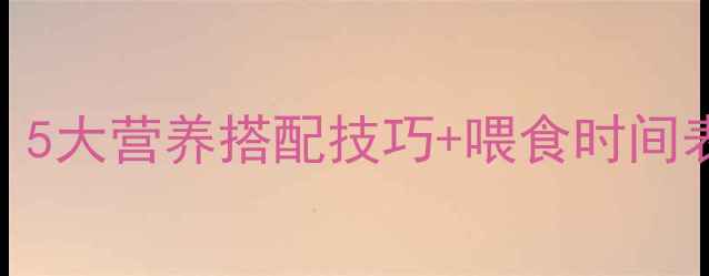 图片 猪科学采食饲料全攻略：5大营养搭配技巧+喂食时间表，助你养殖效益翻倍！
