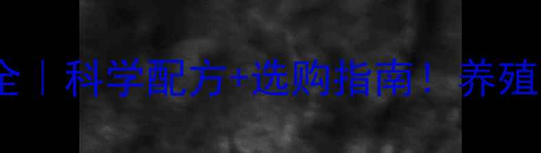 图片 猪饲料预混料成分全｜科学配方+选购指南！养殖户必看的营养密码1