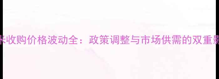 图片 玉米收购价格波动全：政策调整与市场供需的双重影响