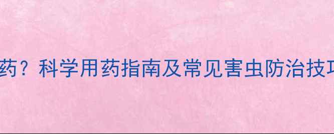 图片 玉米虫害用什么农药？科学用药指南及常见害虫防治技巧（附用药方案）1