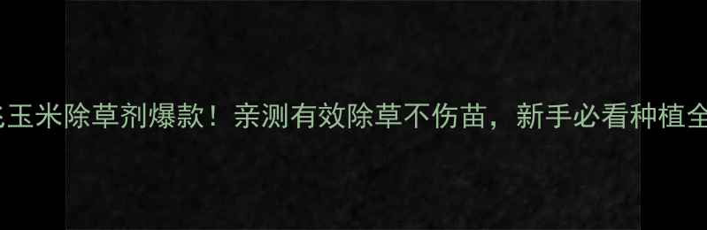 图片 玉达飞玉米除草剂爆款！亲测有效除草不伤苗，新手必看种植全攻略1