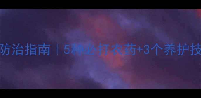 图片 玫瑰常见病虫害及防治指南｜5种必打农药+3个养护技巧（附产品清单）