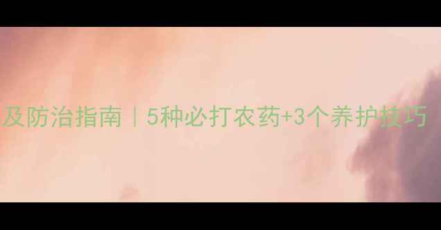 图片 玫瑰常见病虫害及防治指南｜5种必打农药+3个养护技巧（附产品清单）1