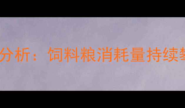 图片 现状分析：饲料粮消耗量持续攀升1