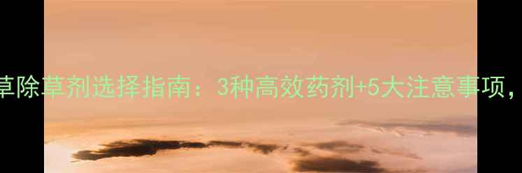 图片 甜菜田阔叶杂草除草剂选择指南：3种高效药剂+5大注意事项，助您控草增收