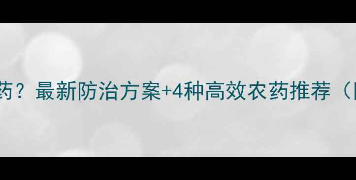 图片 生姜瘟用什么农药？最新防治方案+4种高效农药推荐（附用药时间表）1