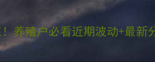 图片 生猪价格行情大起底！养殖户必看近期波动+最新分析（附应对攻略）1