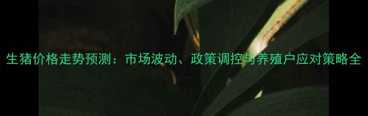 图片 生猪价格走势预测：市场波动、政策调控与养殖户应对策略全
