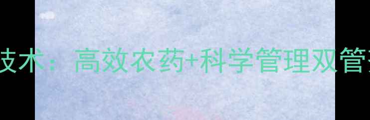 图片 番茄白飞虱绿色防控技术：高效农药+科学管理双管齐下，助农增收指南1