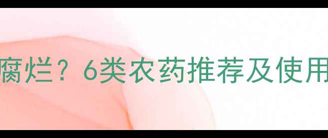 图片 白菜如何科学用药防腐烂？6类农药推荐及使用技巧（附储存方案）