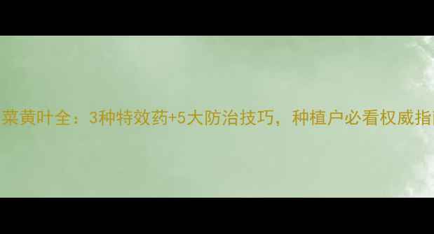 图片 白菜黄叶全：3种特效药+5大防治技巧，种植户必看权威指南