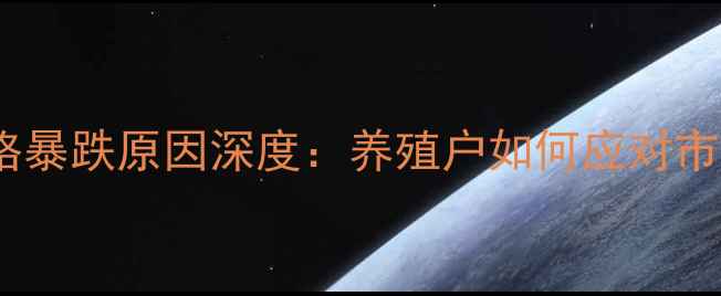 图片 白鸭价格暴跌原因深度：养殖户如何应对市场波动1
