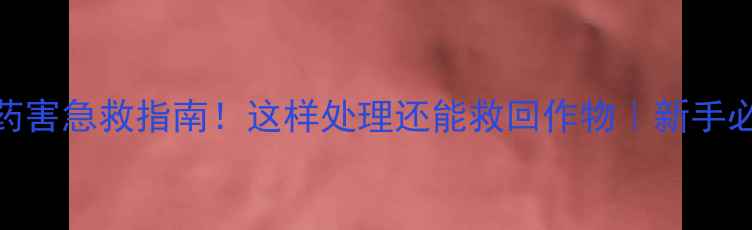 图片 盐酸吗啉胍药害急救指南！这样处理还能救回作物｜新手必看修复方案