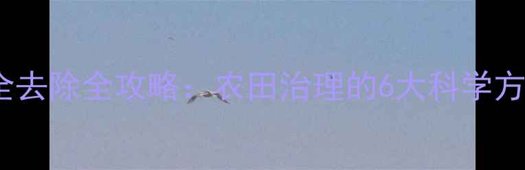 图片 硫酸铜残留安全去除全攻略：农田治理的6大科学方法与注意事项1