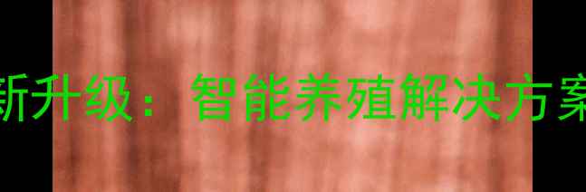 图片 福清特驱饲料创新升级：智能养殖解决方案引领行业新趋势