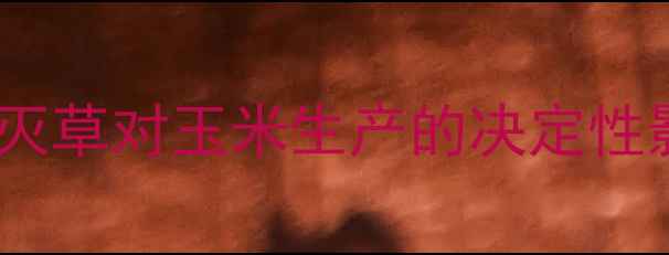 图片 种前灭草对玉米生产的决定性影响1